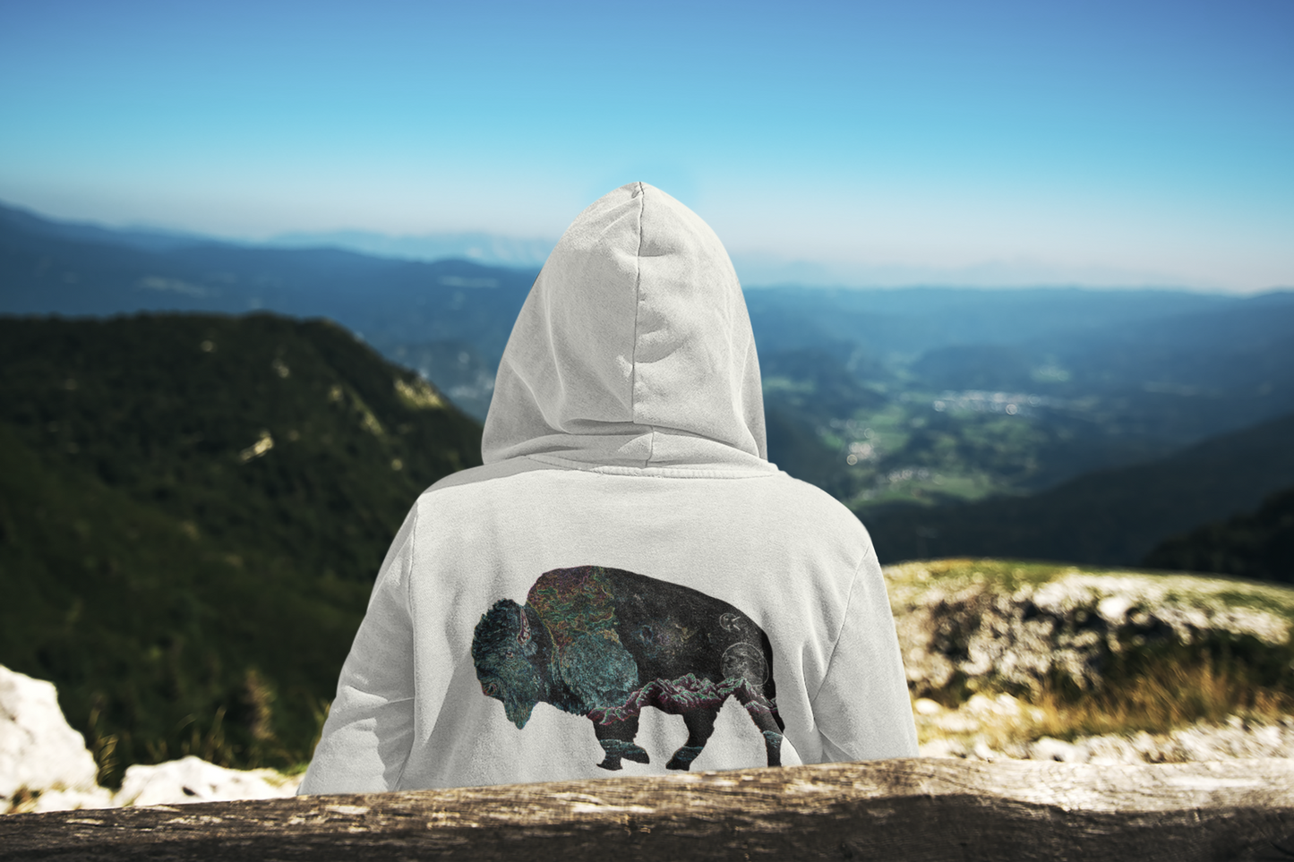 Wandering Bison Hoodie