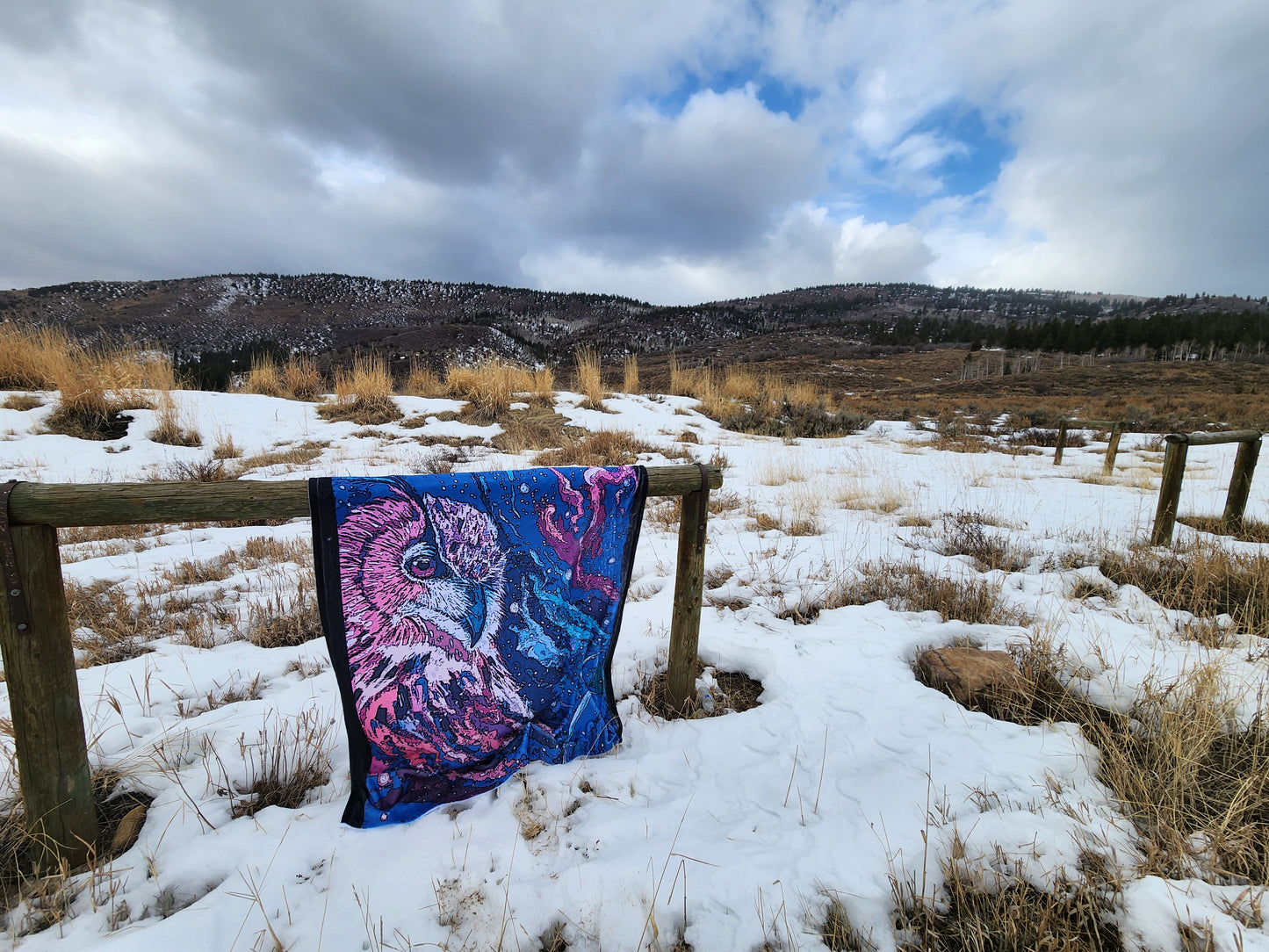 Cosmic Owl Blanket