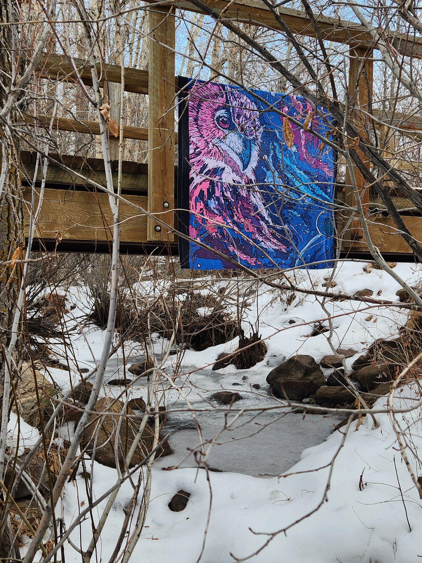 Cosmic Owl Blanket