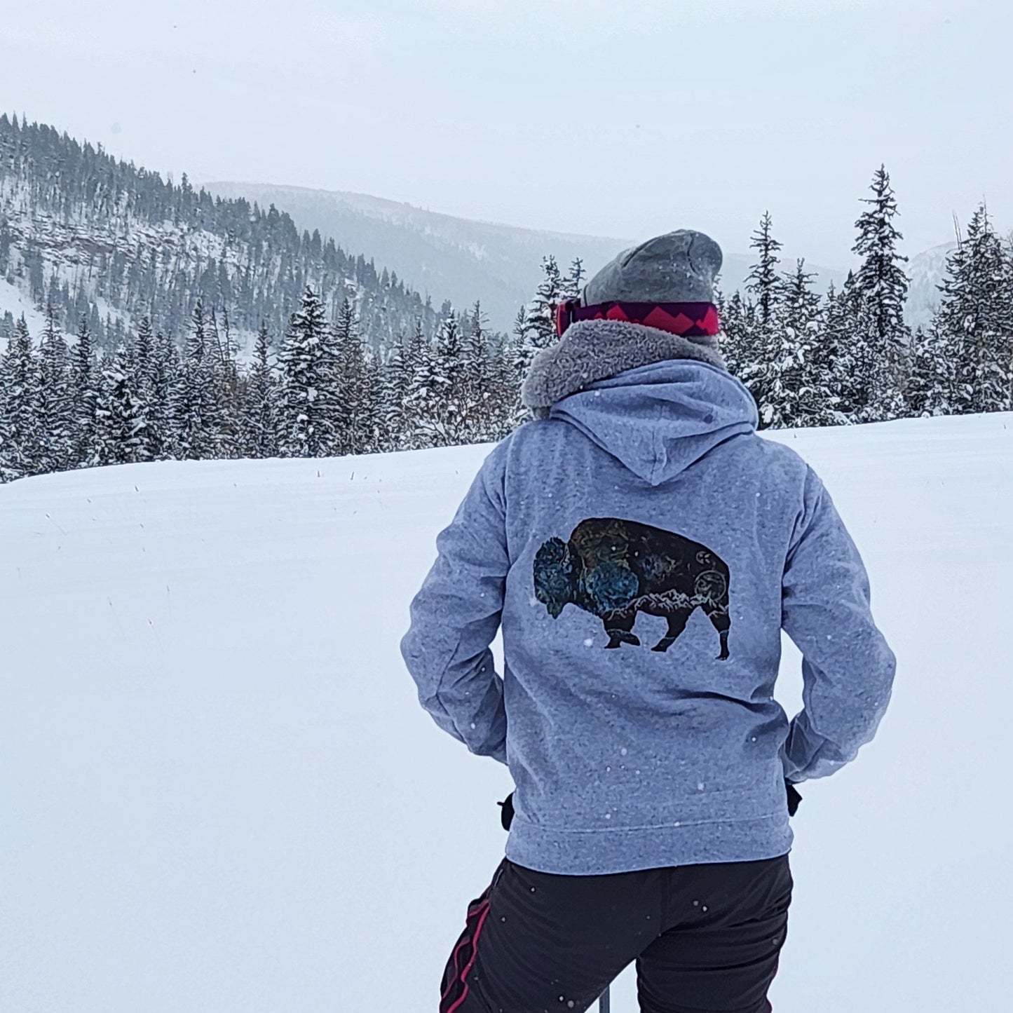 Wandering Bison Hoodie
